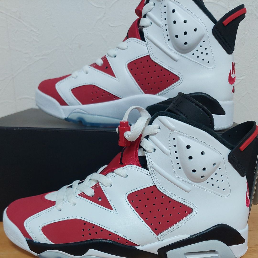 Nike Air Jordan 6 "Carmine" (2021)