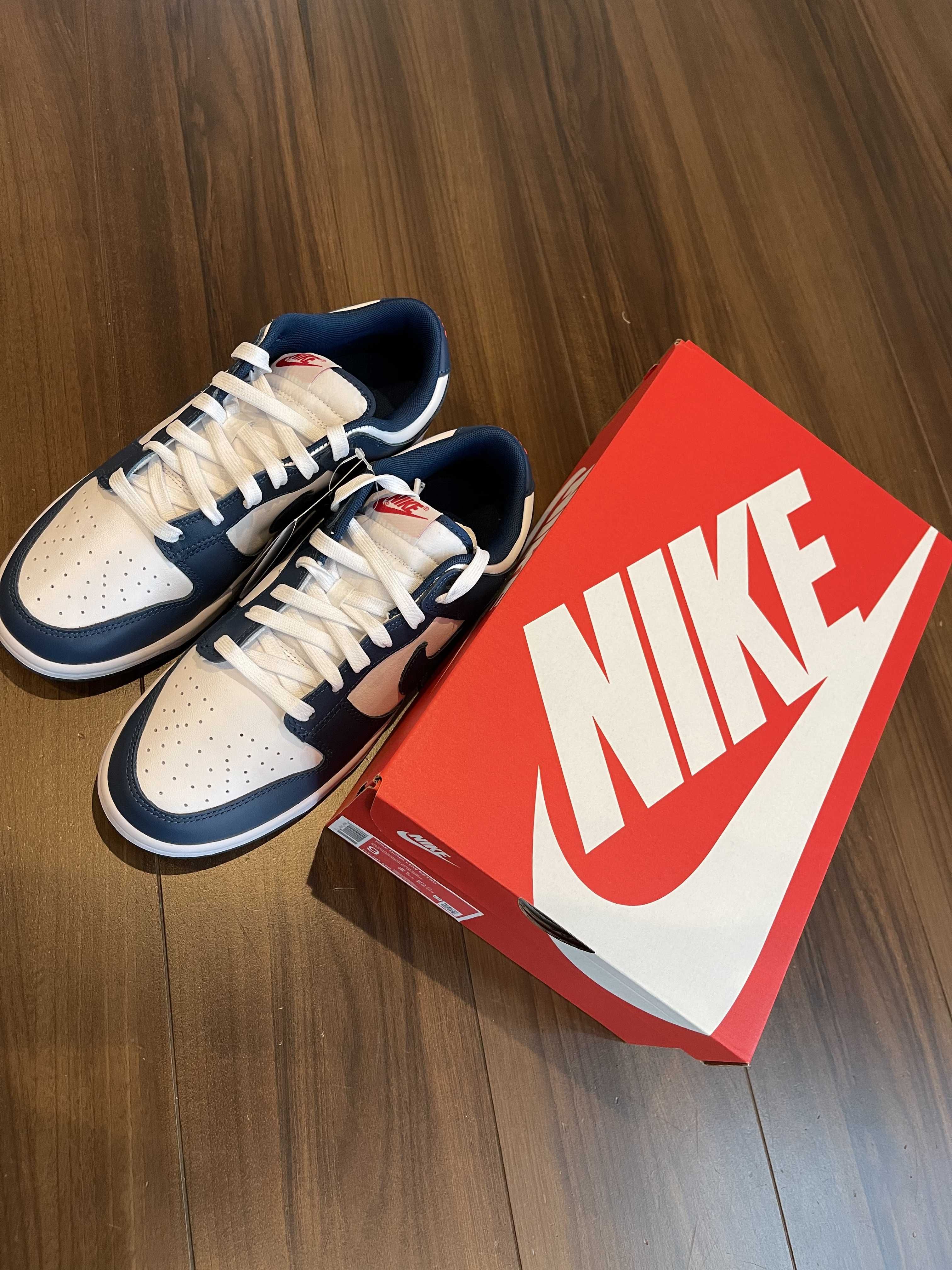 Nike Dunk Low "Valerian Blue"