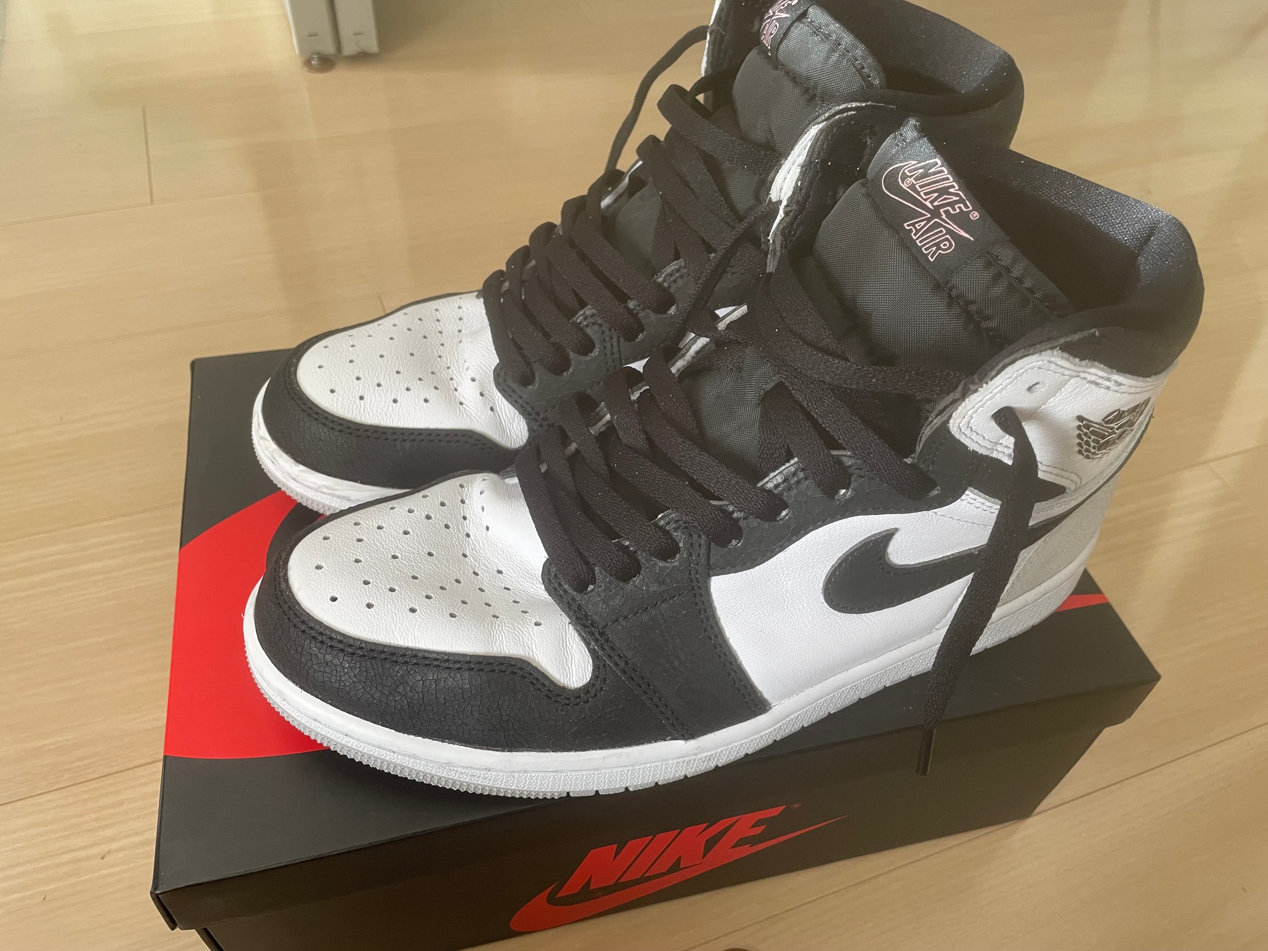 Nike Air Jordan 1 High OG "Bleached Coral"