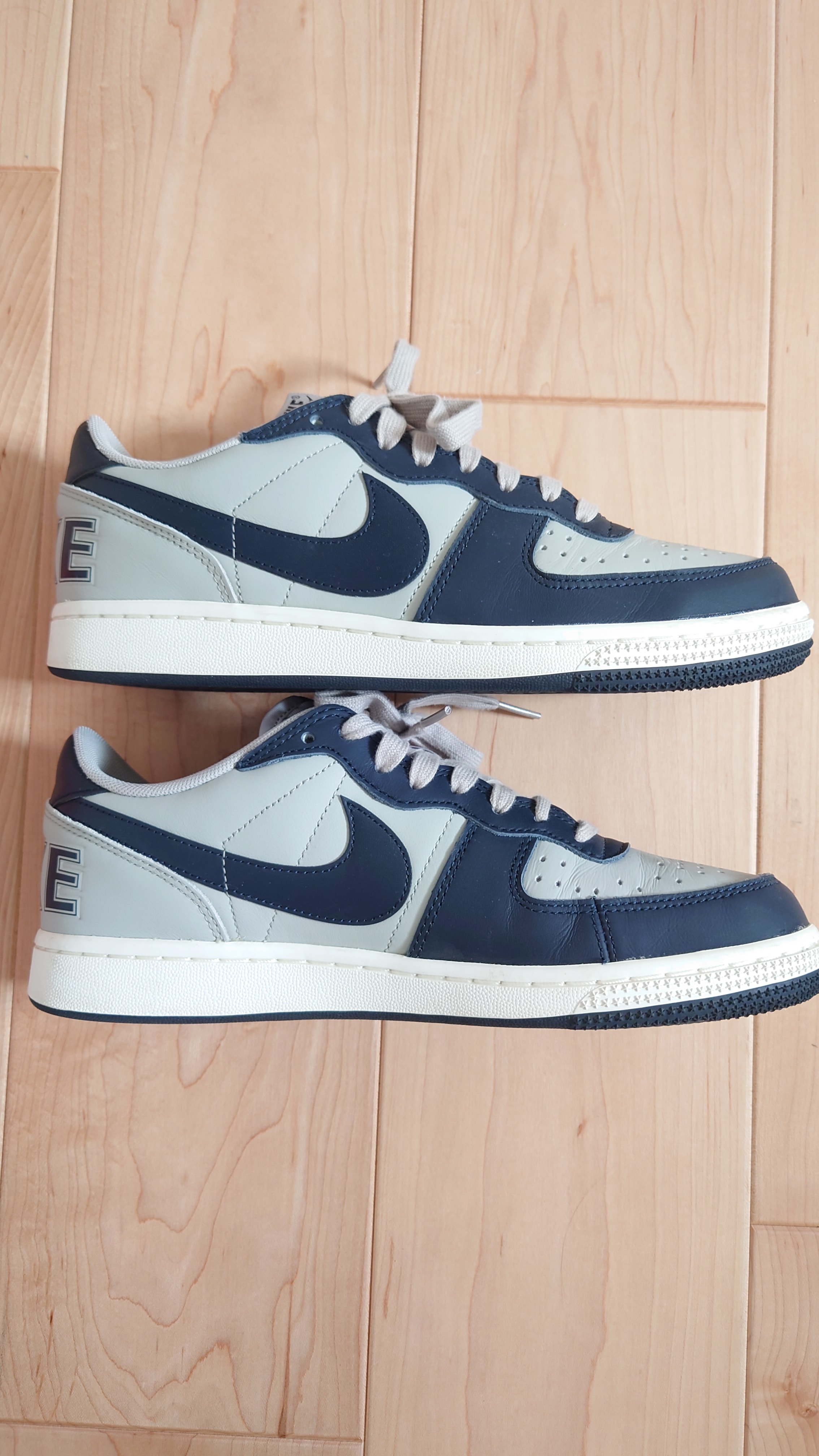 ナイキ ターミネーター ロー "ダークオブシディアン アンド グラナイト/ジョージタウン"(2023)