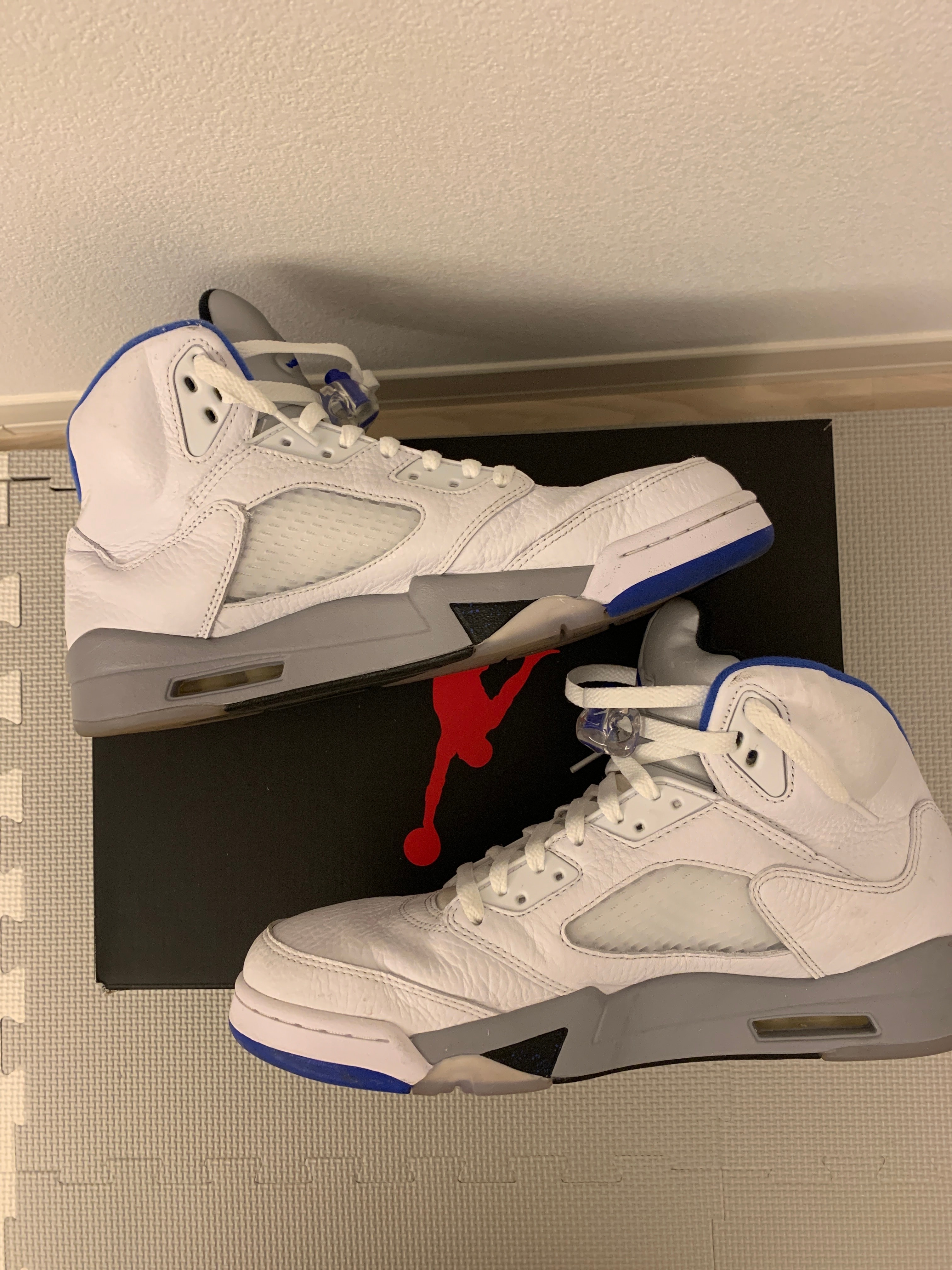 Nike Air Jordan 5 "Stealth 2.0"