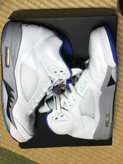 Nike Air Jordan 5 "Stealth 2.0"