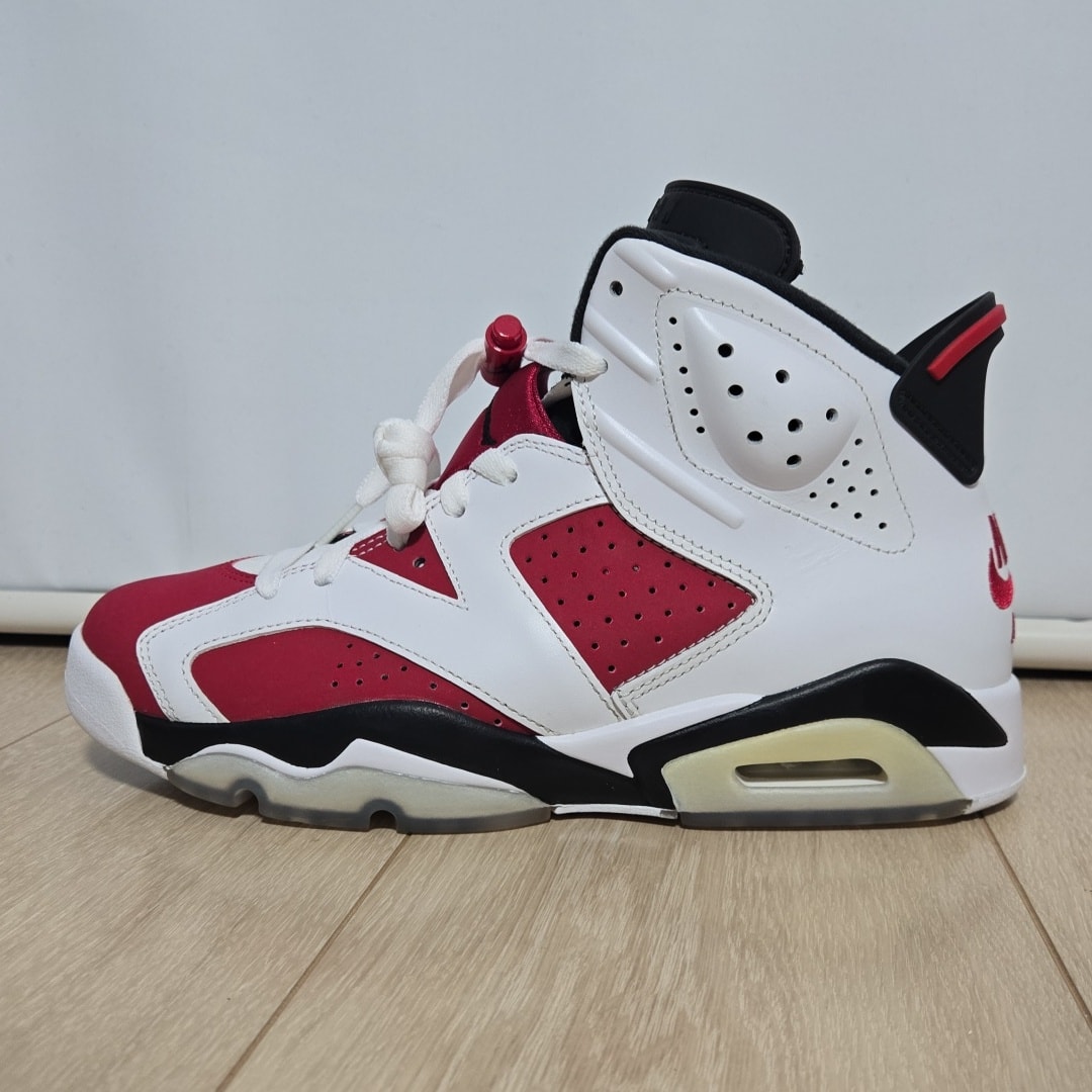 Nike Air Jordan 6 "Carmine" (2021)