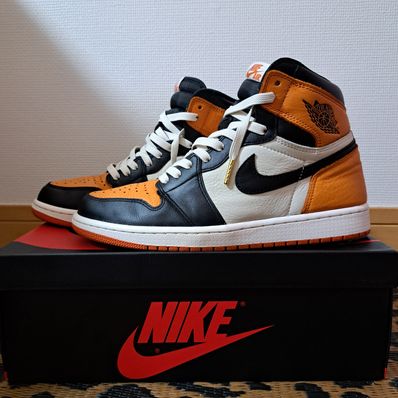 Nike Air Jordan 1 Retro High OG "Shattered Backboard"