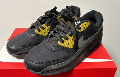 Nike Air Max 90 "Black/Bronzine/Blue Tint/Medium Ash"