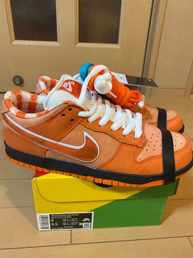 Concepts × Nike SB Dunk Low SP