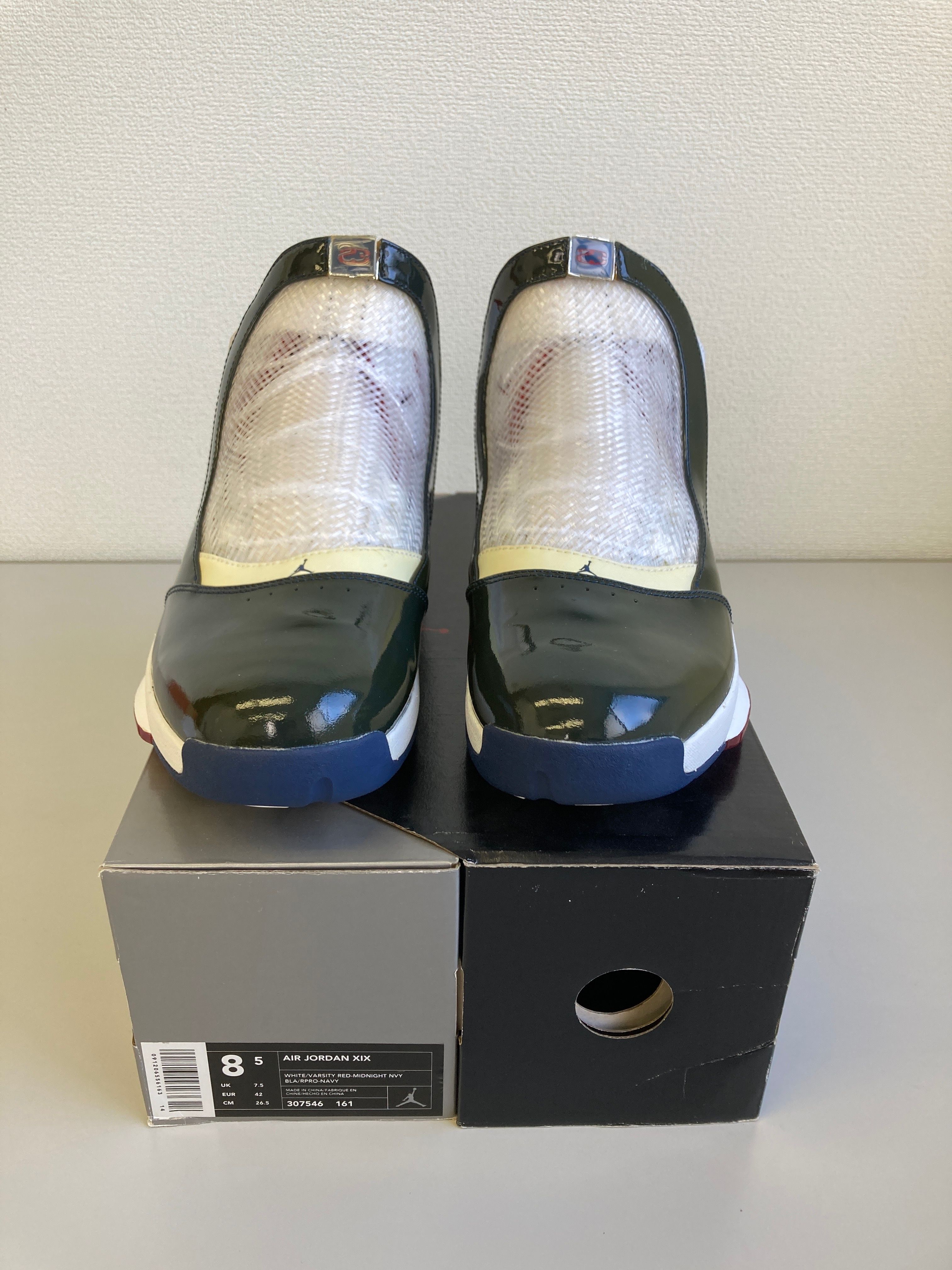 Nike Air Jordan 19 OG "East Coast"