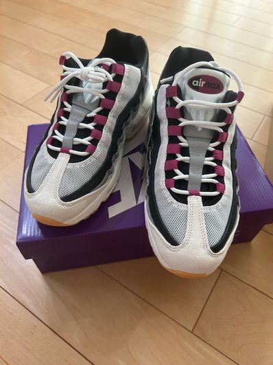 Nike SB Air Max 95 "Summit White/Cactus Flower"