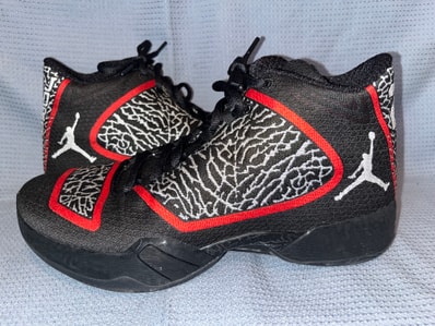 Nike Air Jordan 29 "Black White Gym Red"