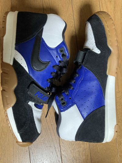 Polar Skate Co × Nike SB Air Trainer 1 "Blue/Black/White"
