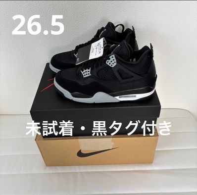 Nike Air Jordan 4 SE "Black and Light Steel"