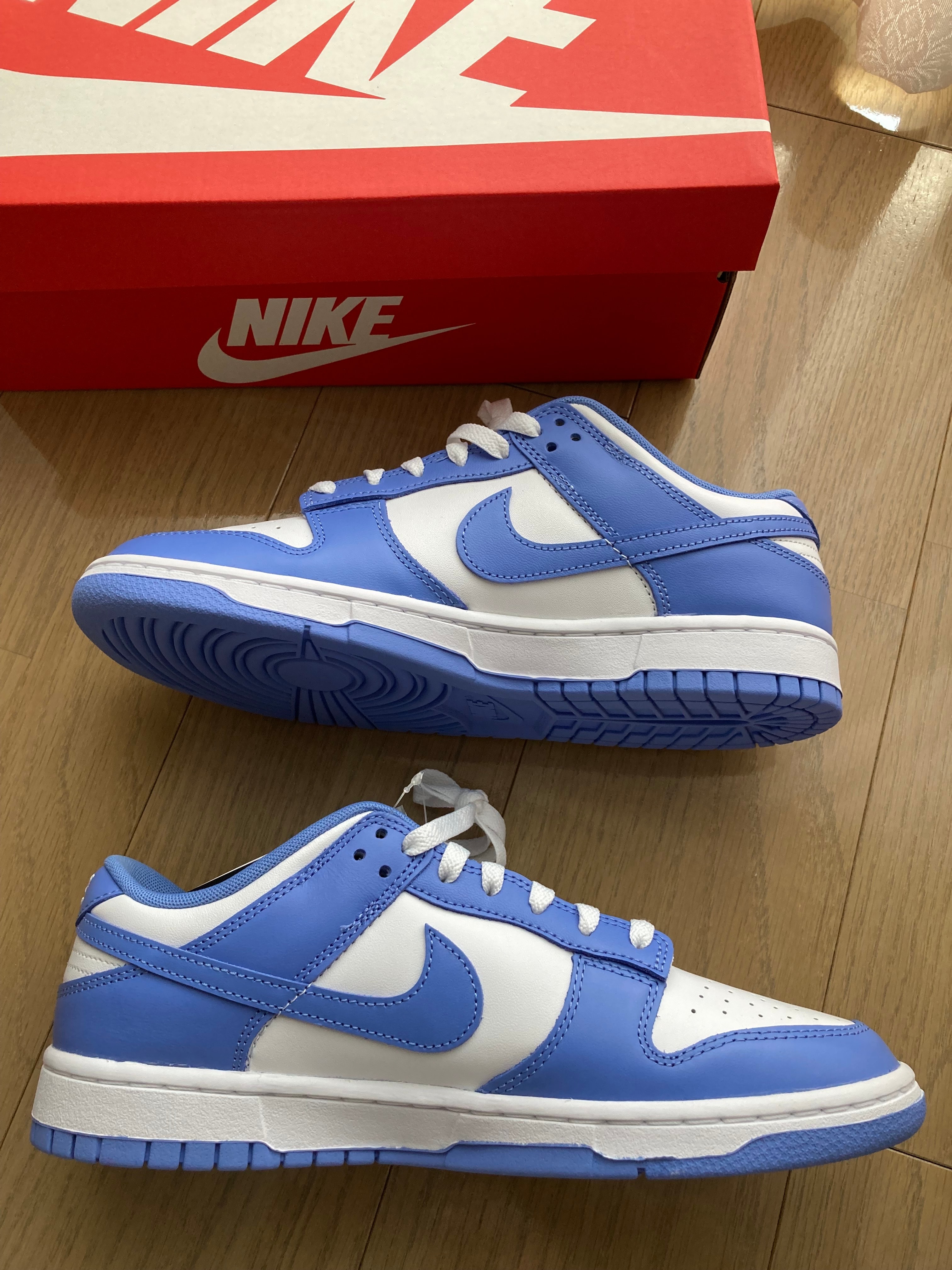 Nike Dunk Low Retro BTTYS "Polar Blue"