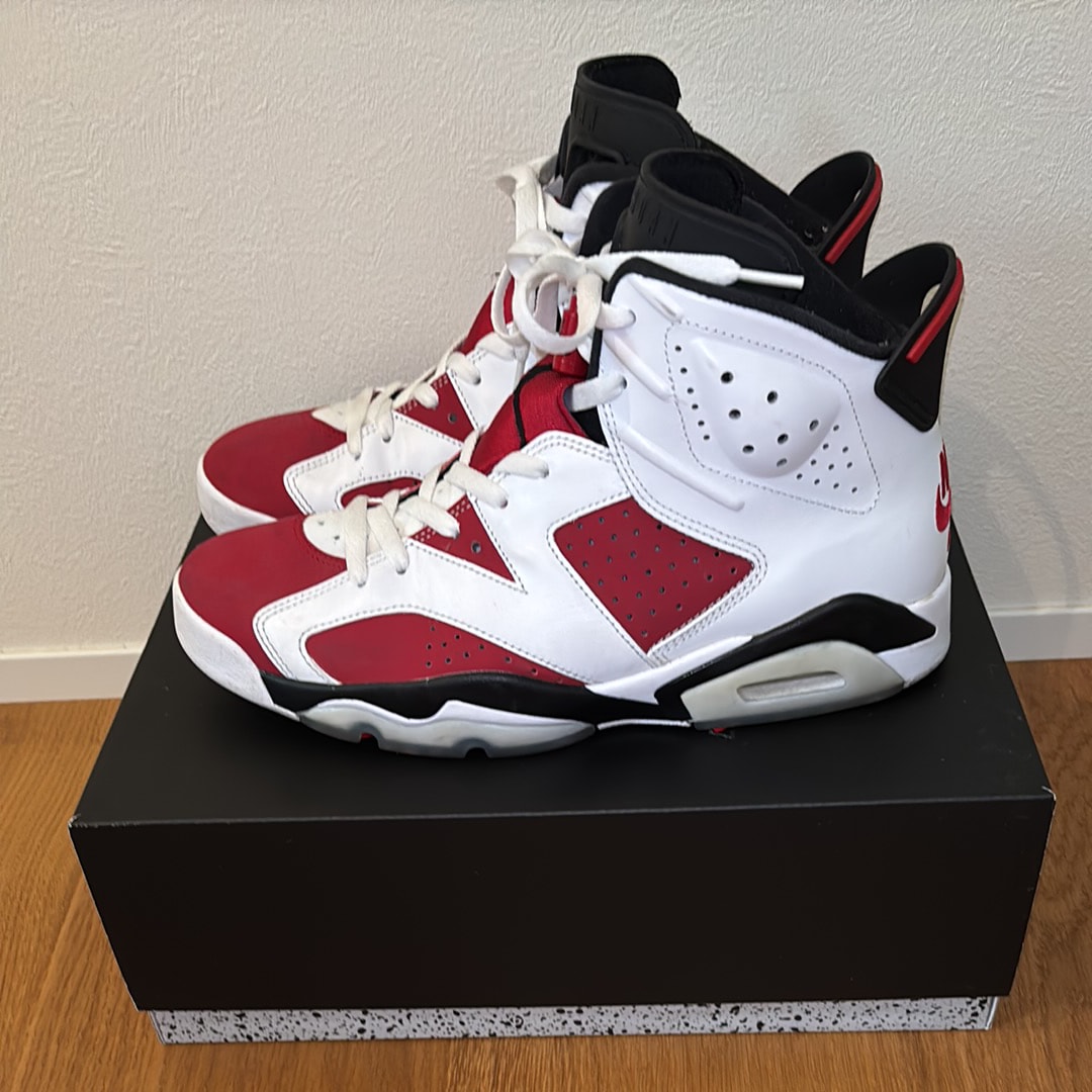 Nike Air Jordan 6 "Carmine" (2021)