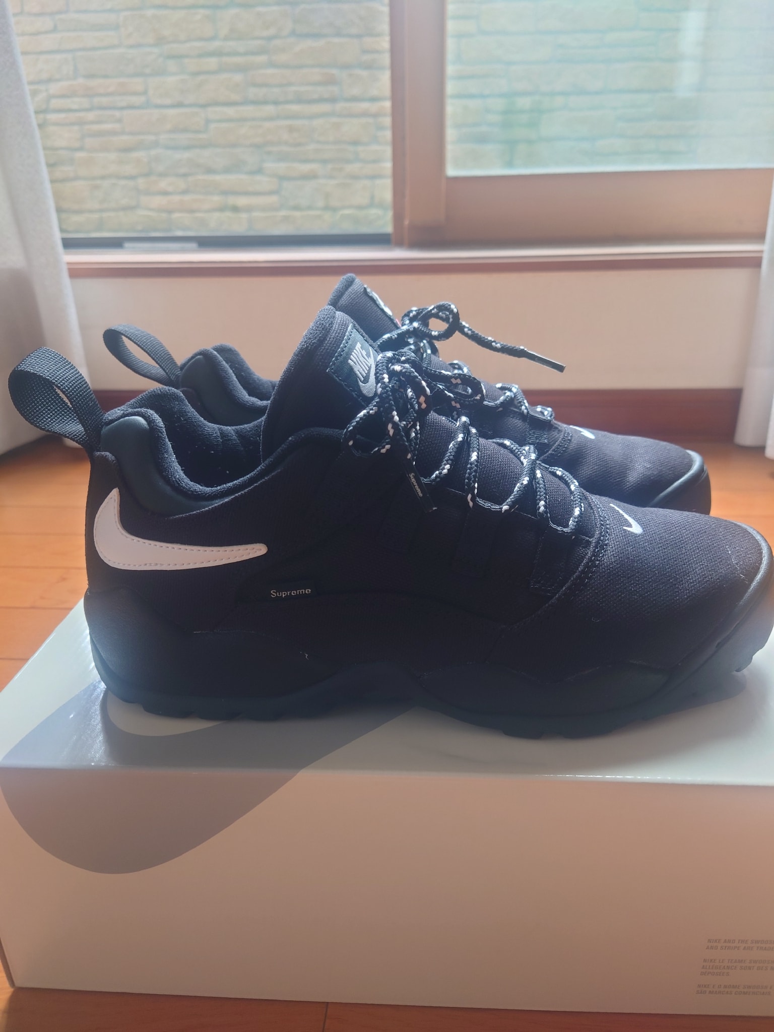 Supreme × Nike SB Darwin Low "Black"