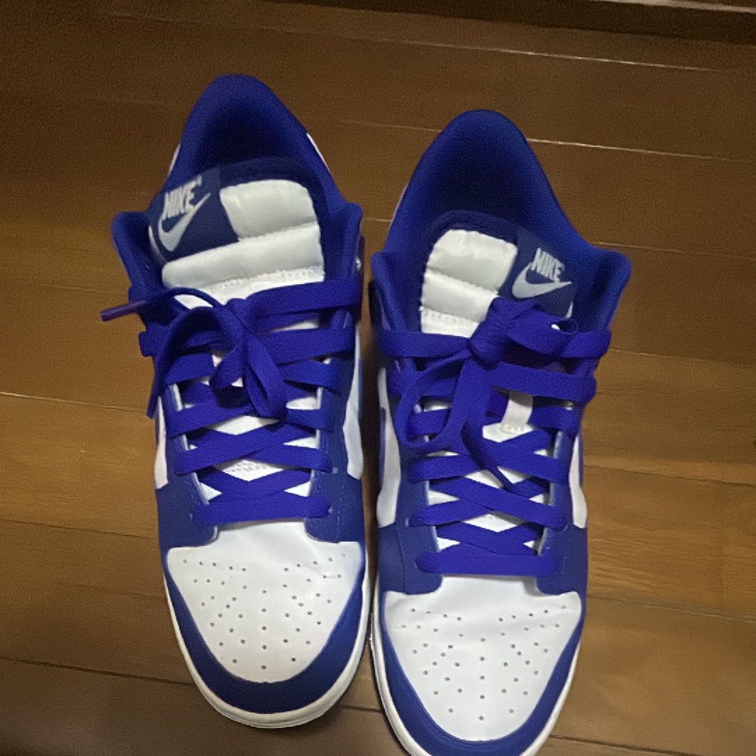 ナイキ ダンク ロー レトロ "チャンピオンシップ コートパープル"