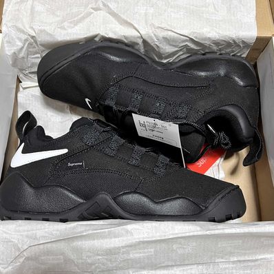 Supreme × Nike SB Darwin Low "Black"