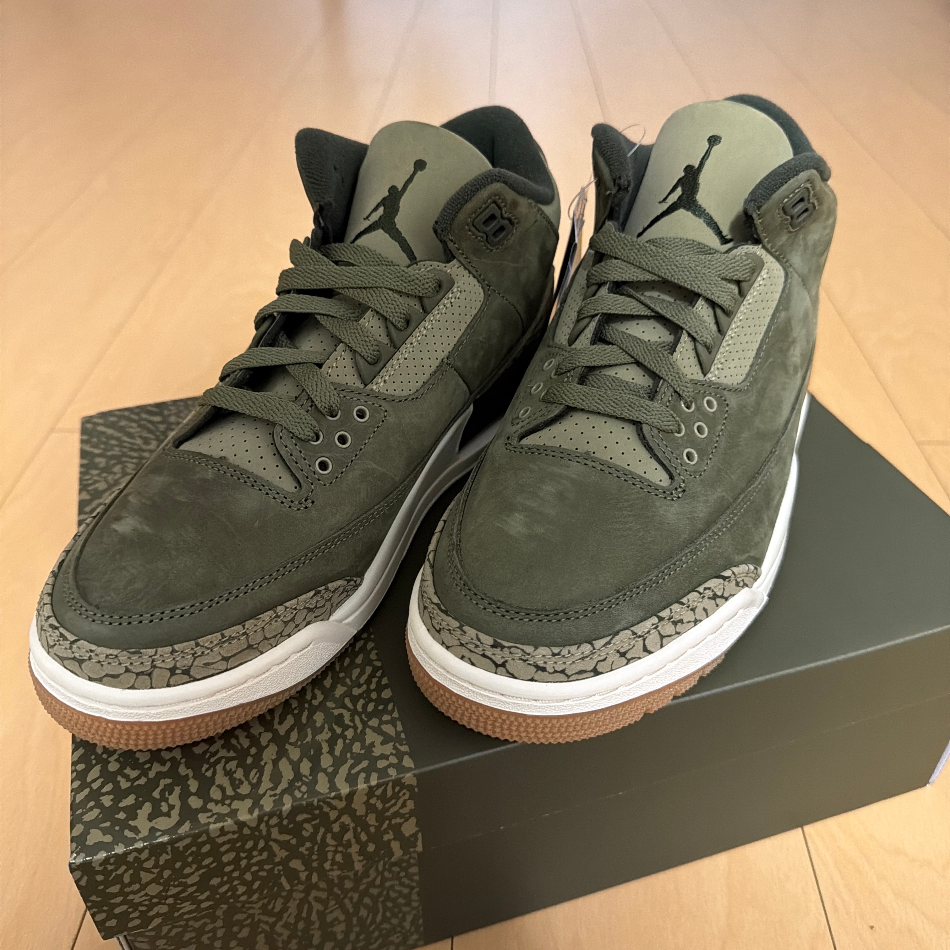 Nike Air Jordan 3 Retro "Family Affair"