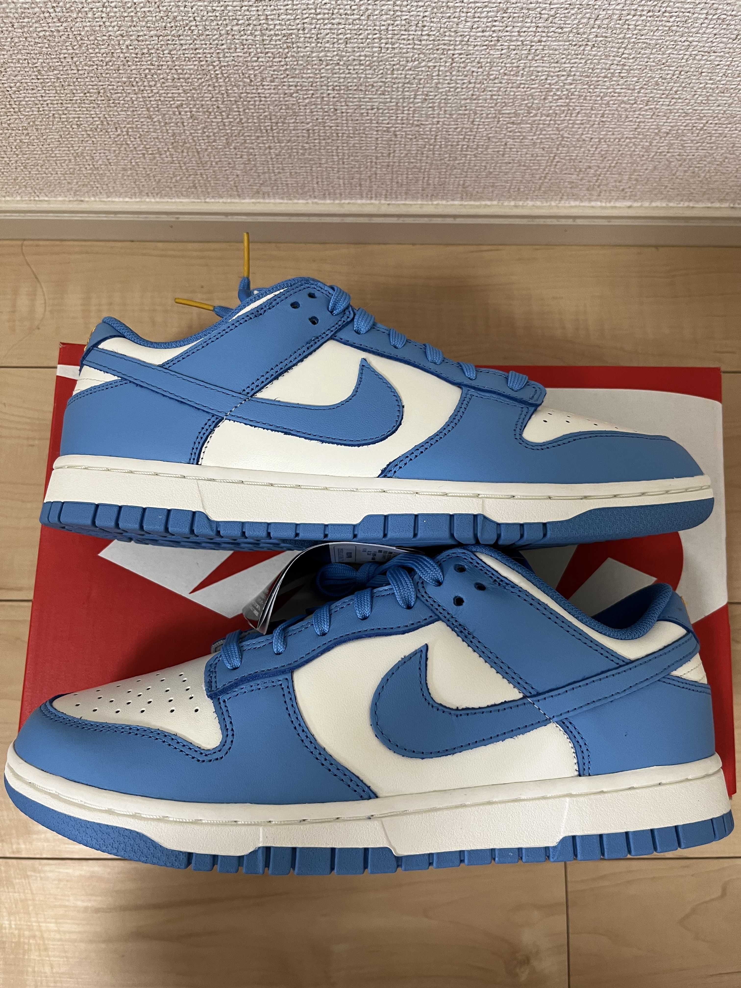 Nike Women's Dunk Low "Coast"