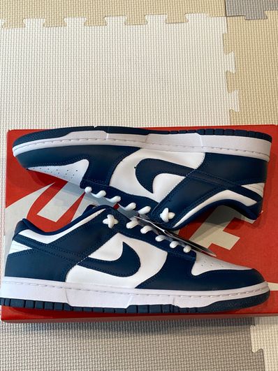 Nike Dunk Low "Valerian Blue"