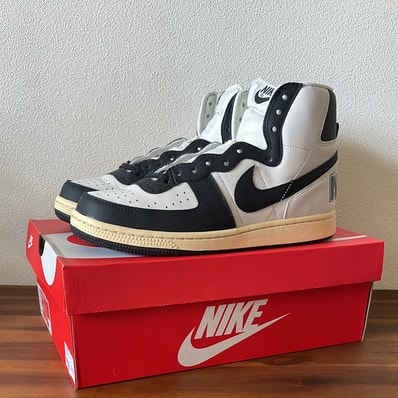 Nike Terminator High "Black and Phantom"