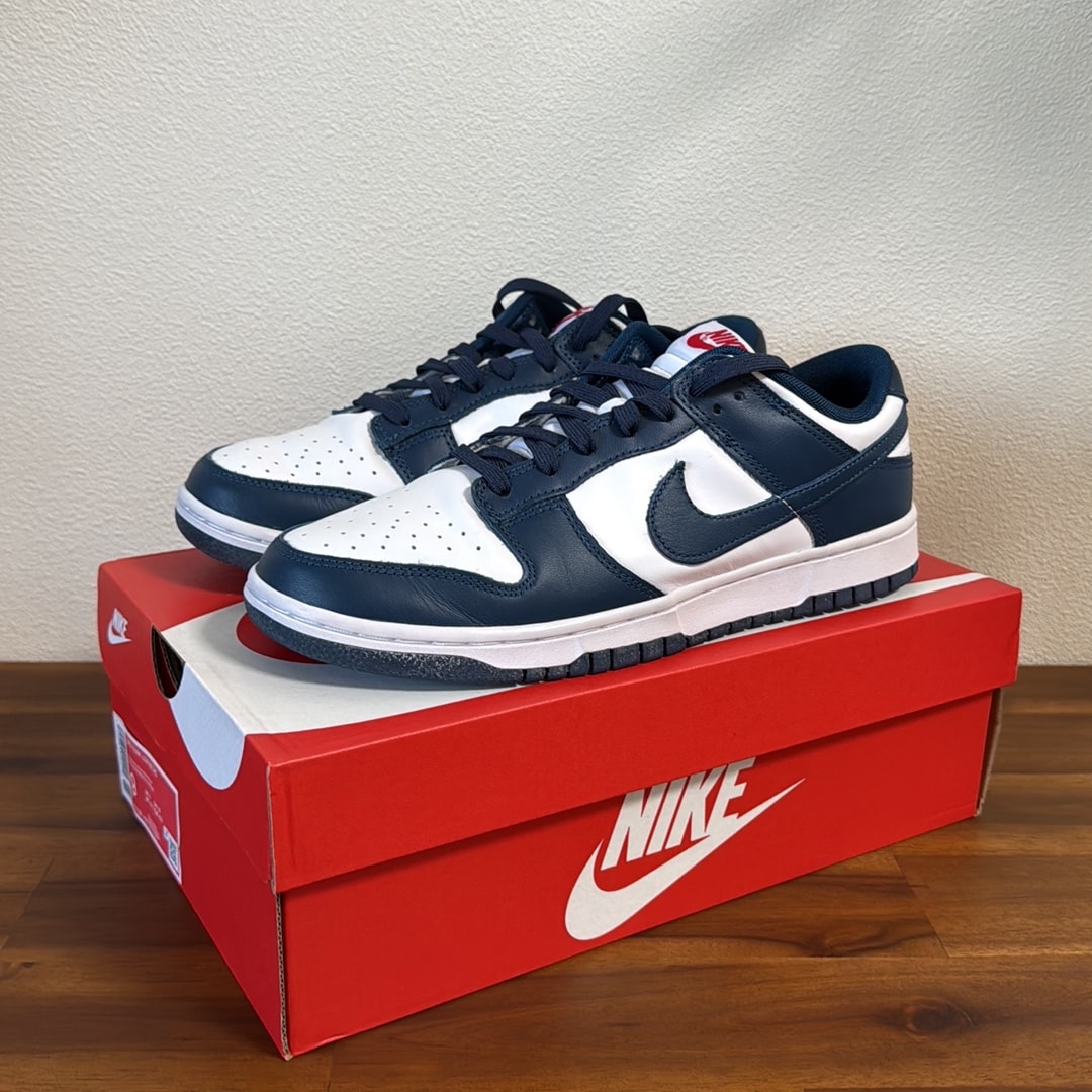 Nike Dunk Low "Valerian Blue"
