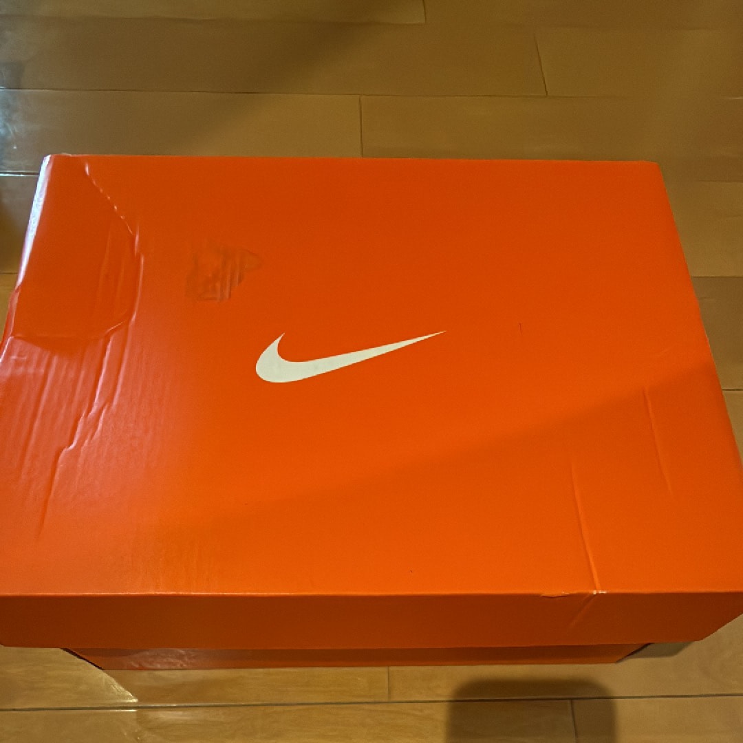 ナイキ ウィメンズ  エアマックス ココ サンダル "ホワイト"