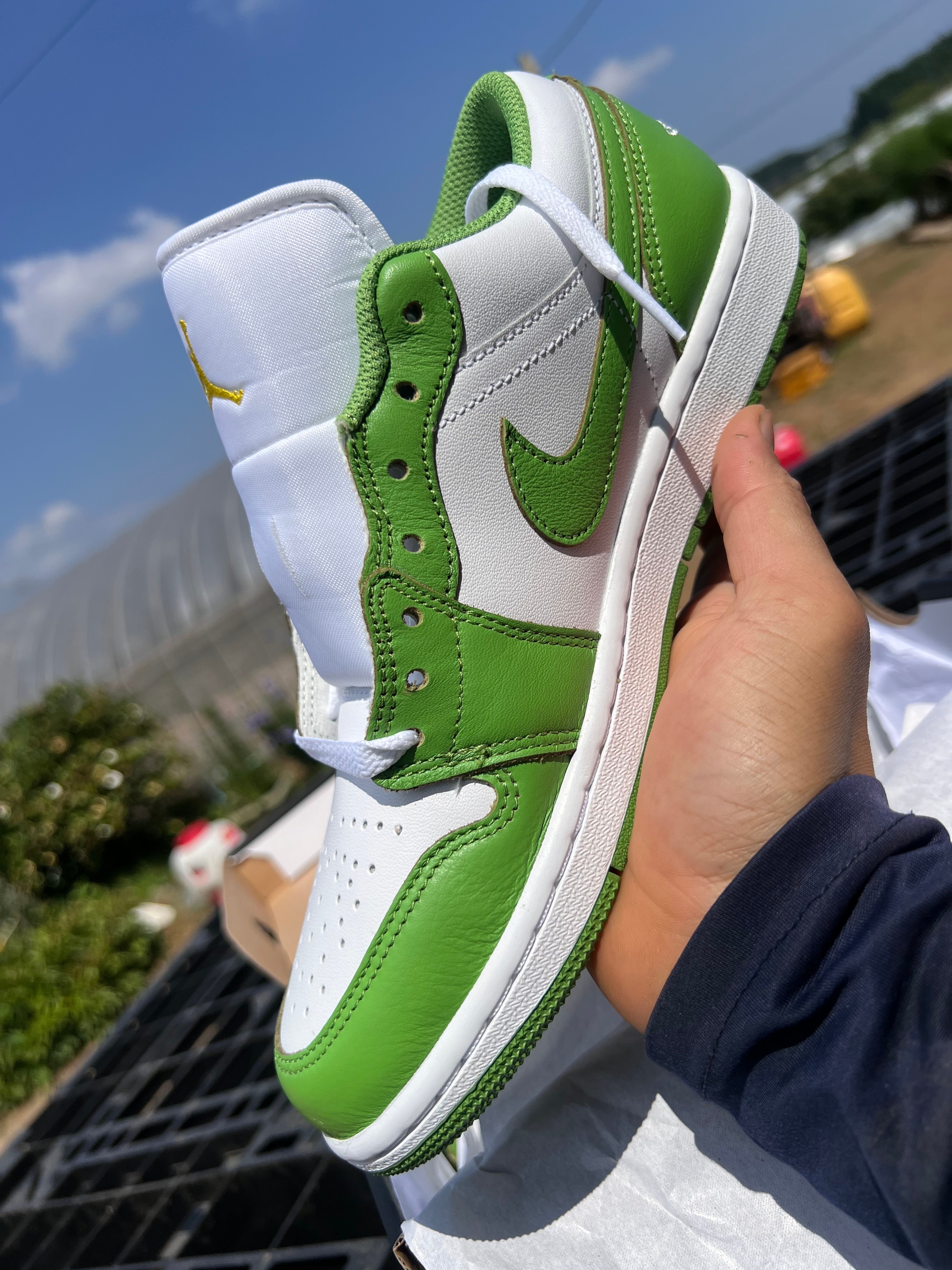 Nike Air Jordan 1 Low SE "Chlorophyll"