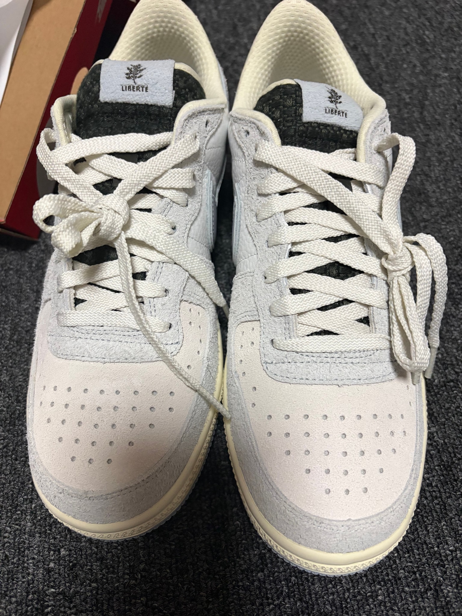 Nike Terminator Low "Liberté"