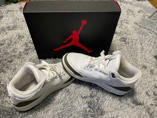 Nike Air Jordan 3 Retro "Mocha" (2018)