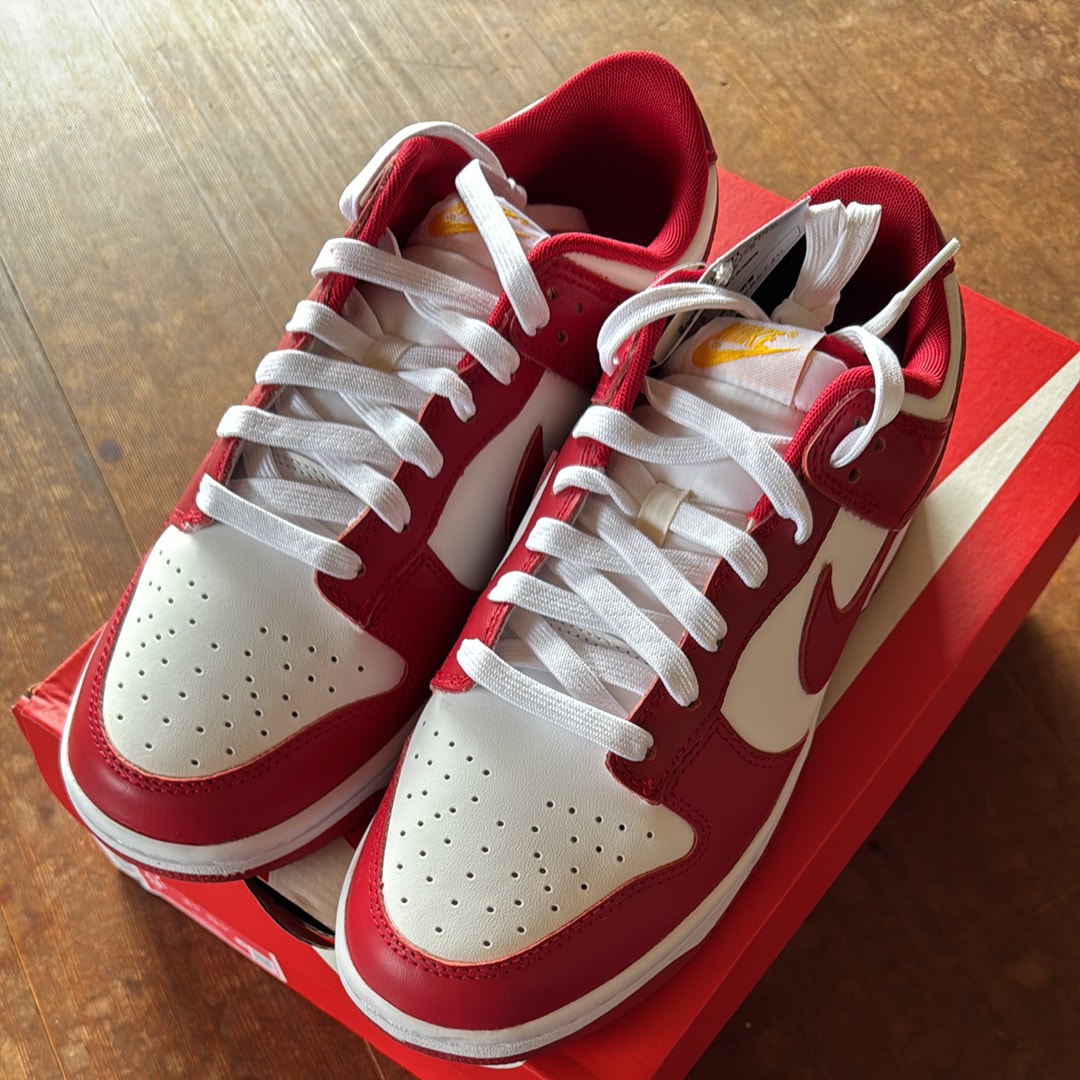 Nike Dunk Low "Gym Red"