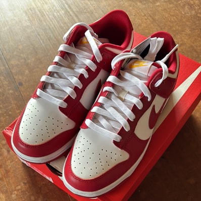 Nike Dunk Low "Gym Red"