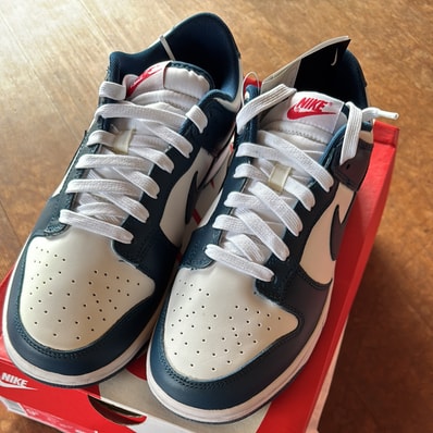 Nike Dunk Low "Valerian Blue"