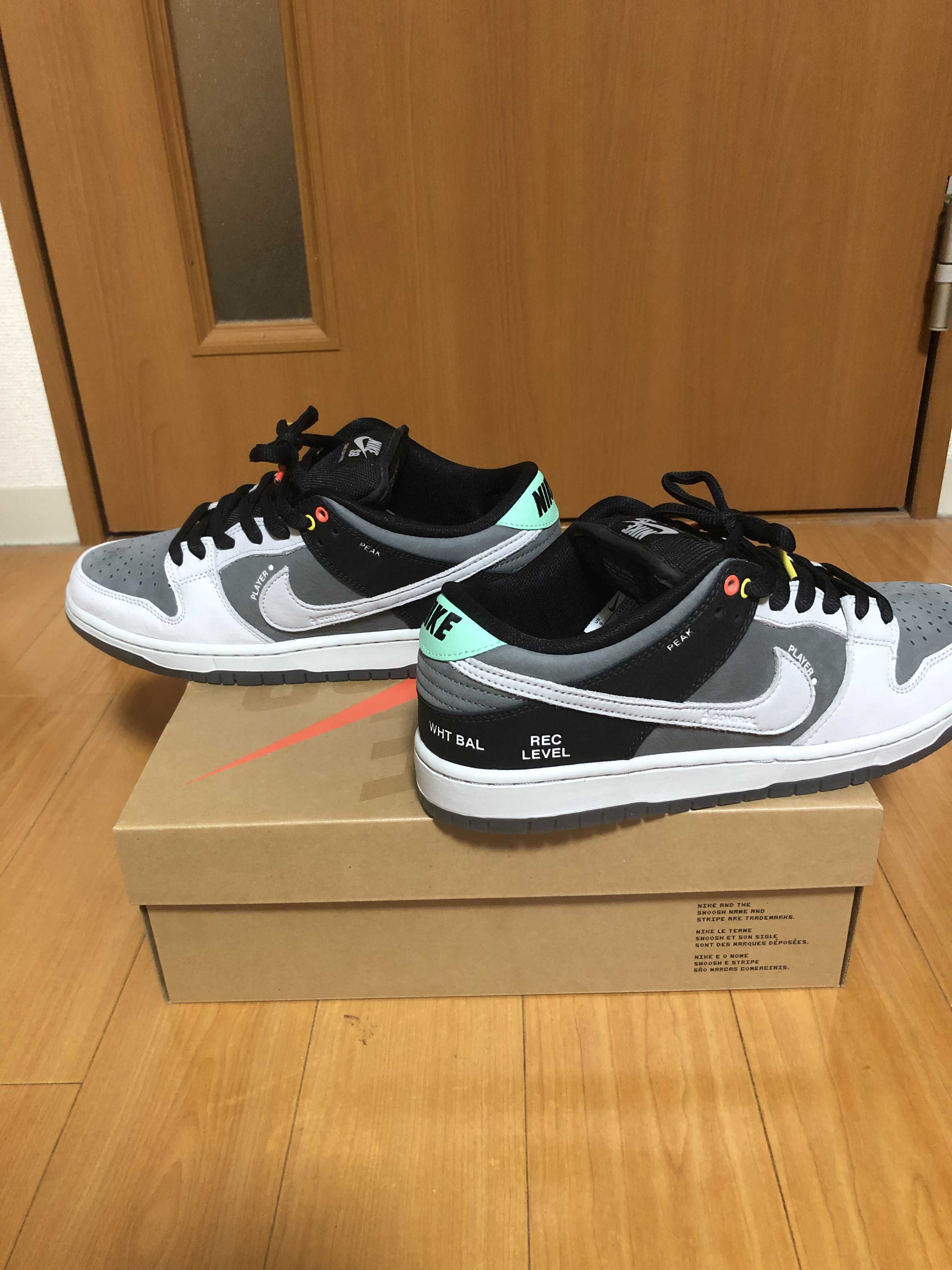 Nike SB Dunk Low Pro "VX1000 Camcorder"