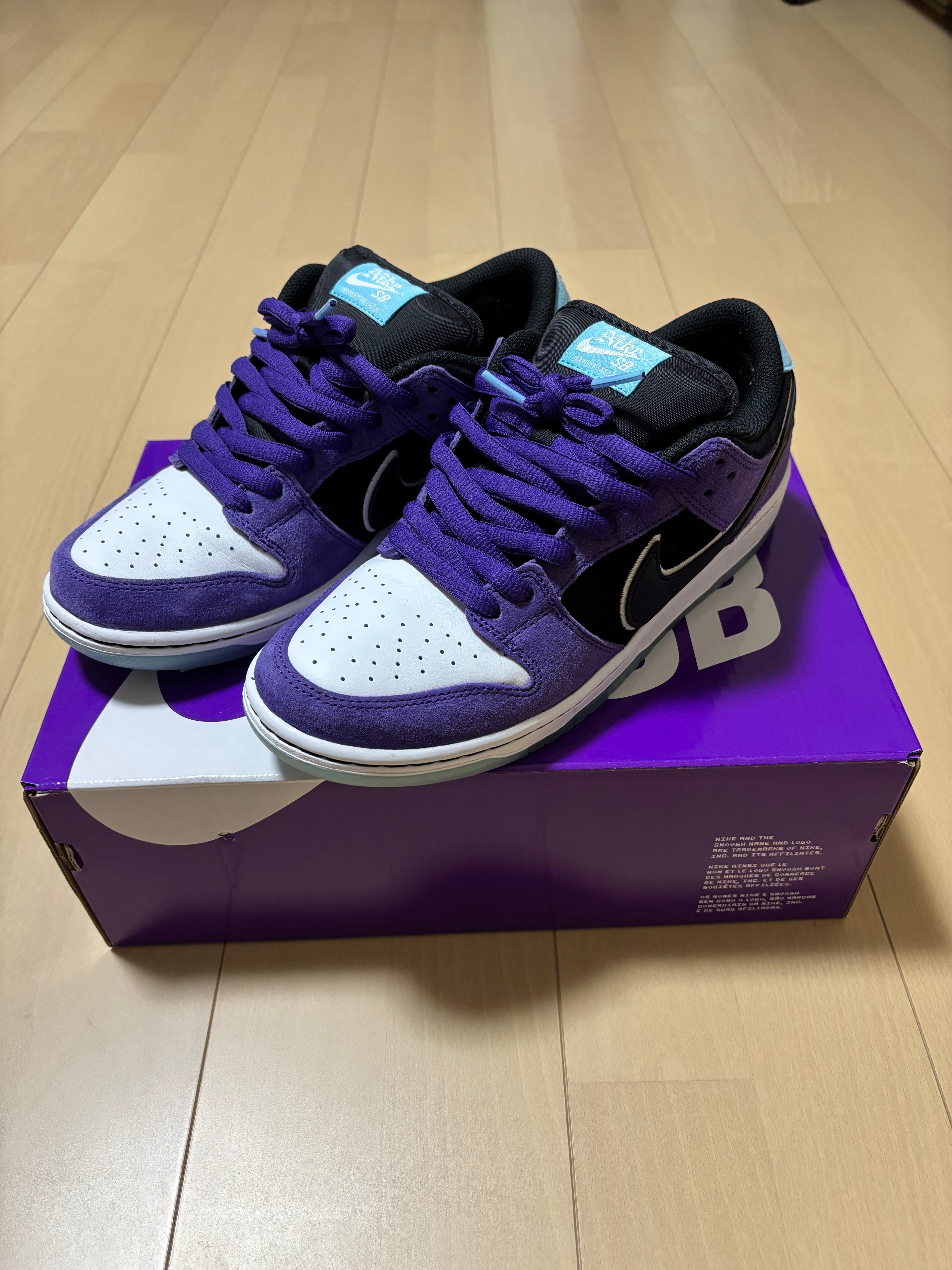Hayley Wilson × Nike SB Dunk Low Pro "Black and Court Purple"