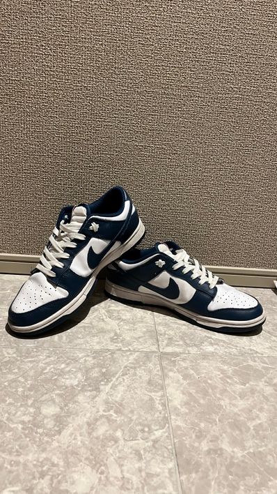 Nike Dunk Low "Valerian Blue"