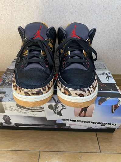 Nike Air Jordan 3 Retro SE "Animal Instinct/Safari"