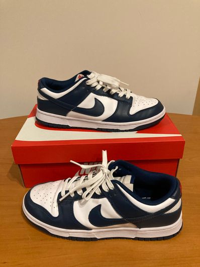 Nike Dunk Low "Valerian Blue"