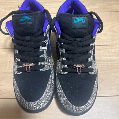 Dashawn Jordan × Nike SB Dunk Low "Copperhead"