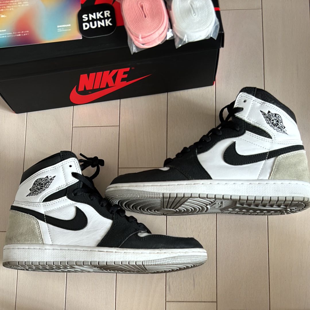 Nike Air Jordan 1 High OG "Bleached Coral"