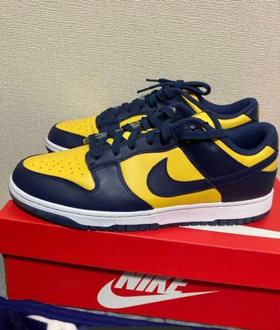 Nike Dunk Low "Michigan"