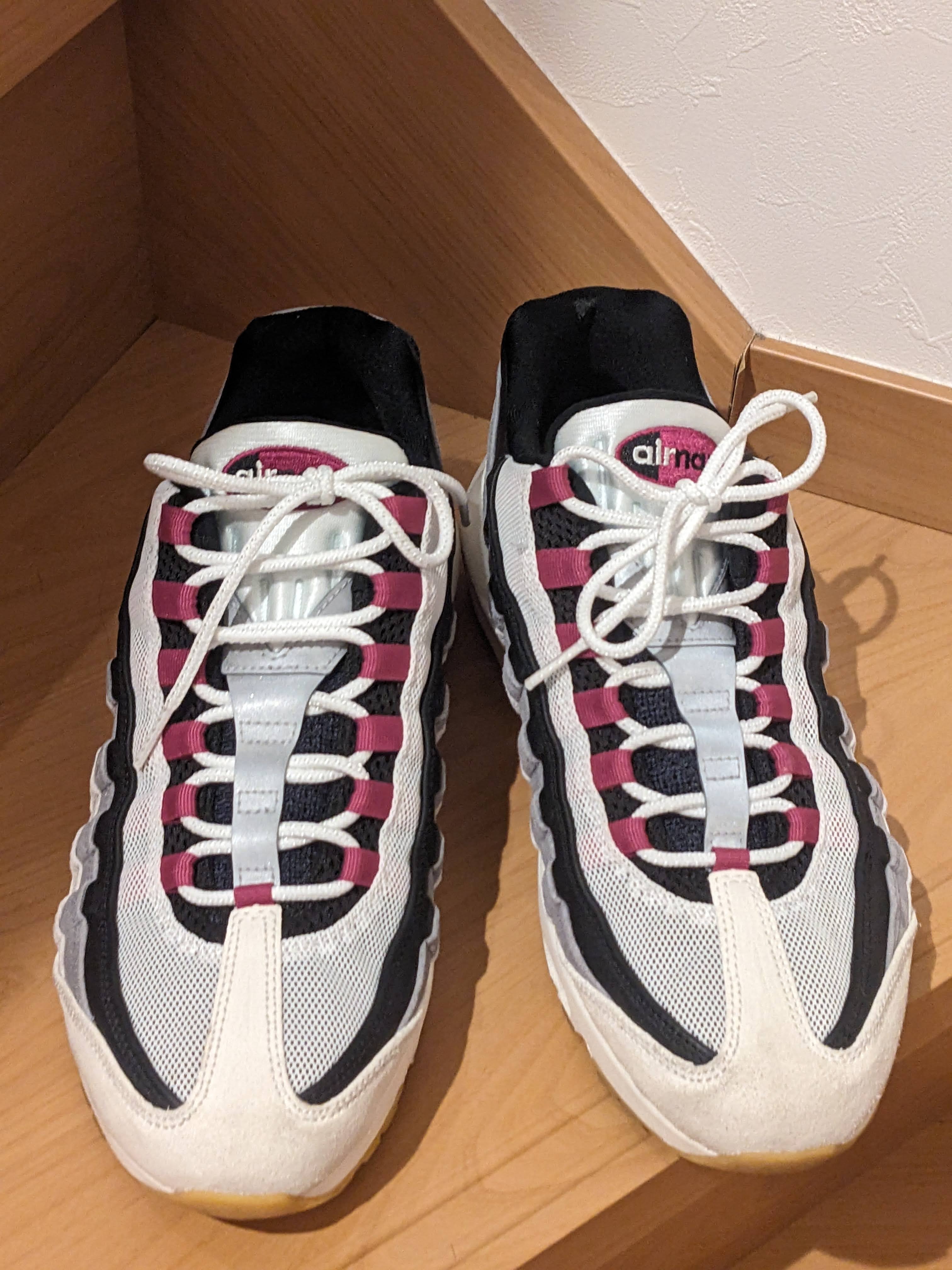 Nike SB Air Max 95 "Summit White/Cactus Flower"