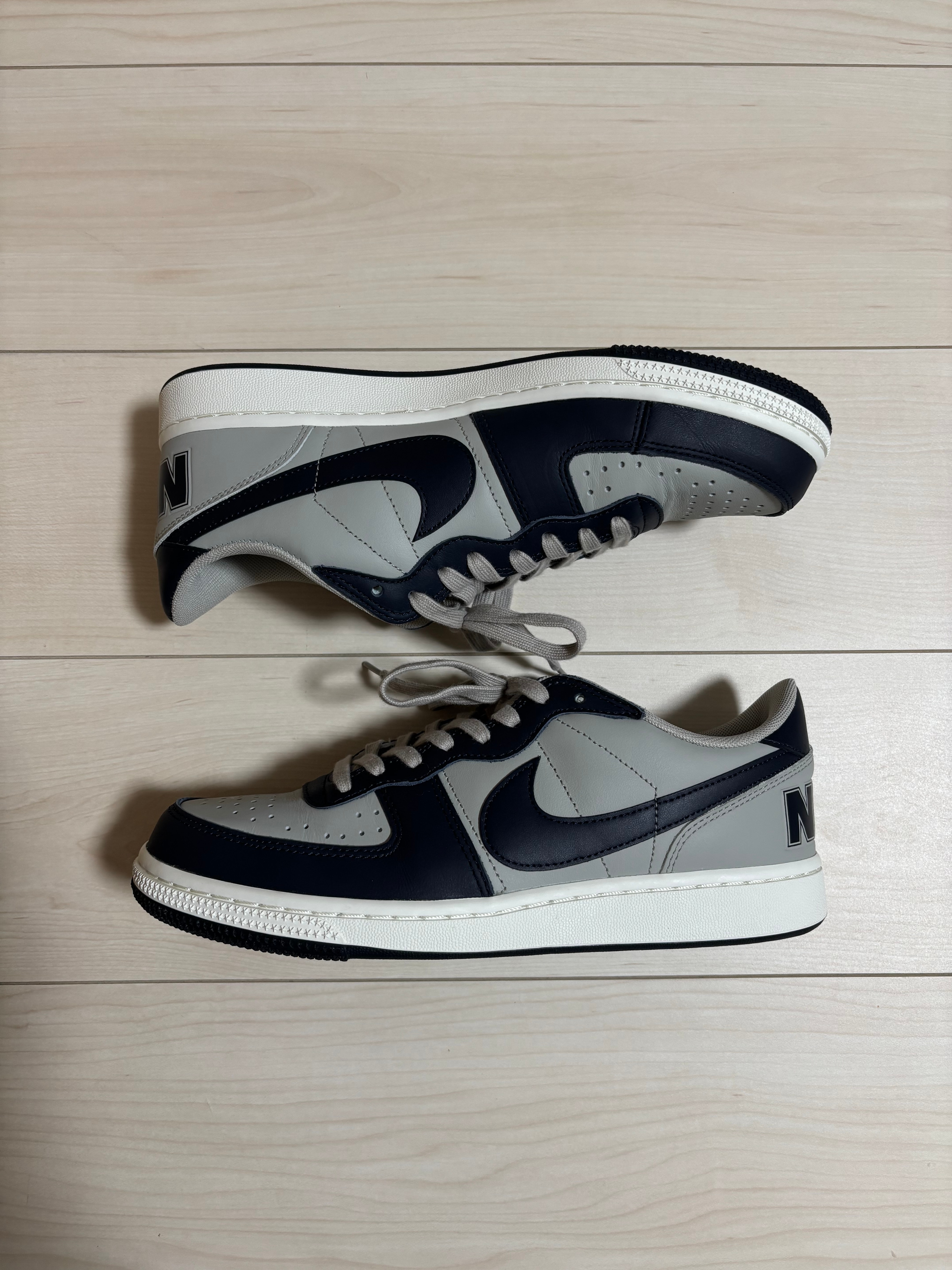 Nike Terminator Low "Dark Obsidian and Granite/Georgetown"(2023)