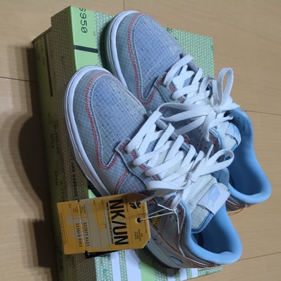 UNION × Nike Dunk Low "Argon"