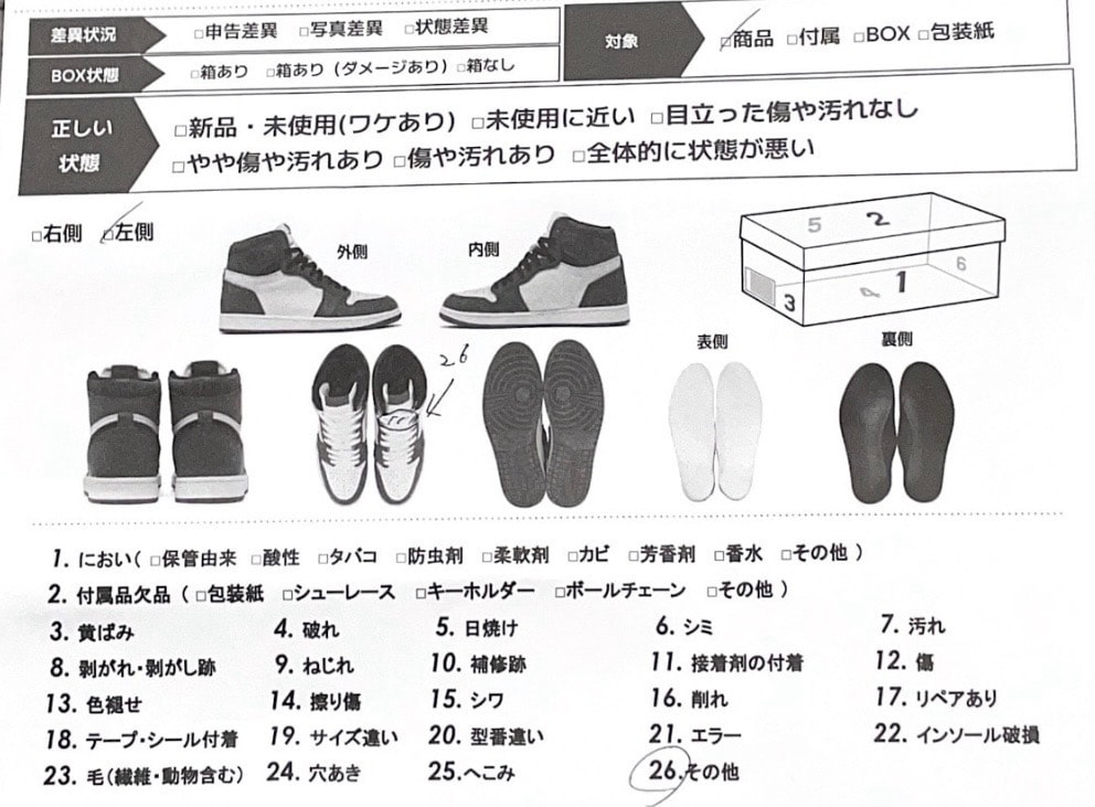 Supreme × Nike SB Dunk Low "Rammellzee"