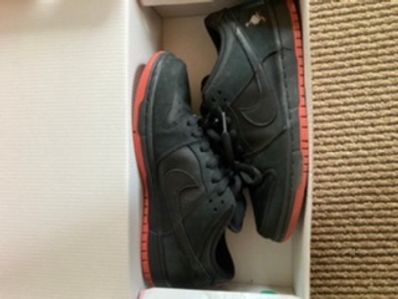 Nike SB Dunk Low TRD QS "Black Pigeon"