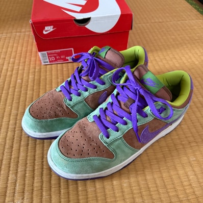 Nike Dunk Low SP "Veneer"