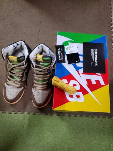 Concepts × Nike SB Dunk High "Duck"