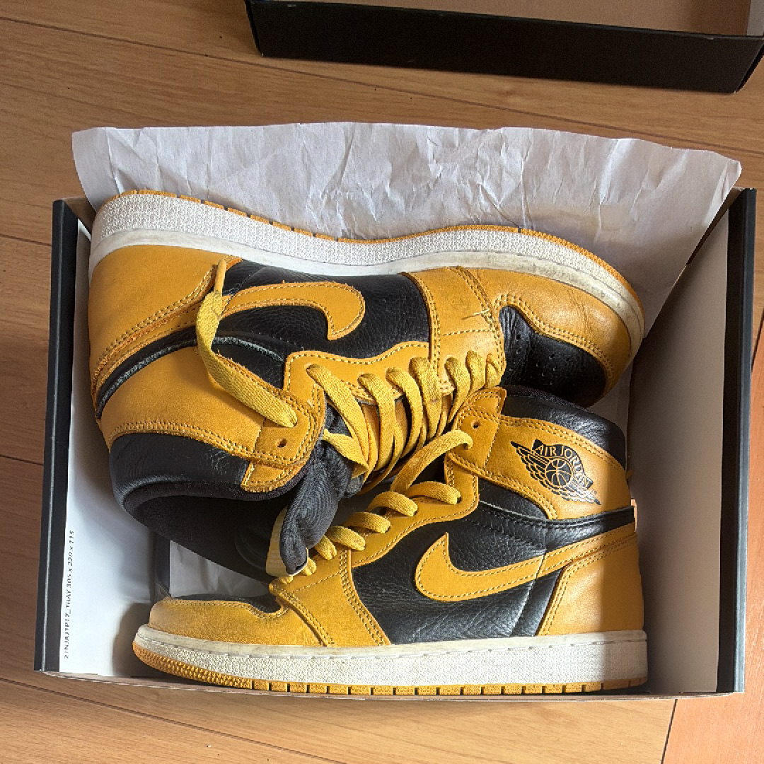Nike Air Jordan 1 High OG "Pollen" 