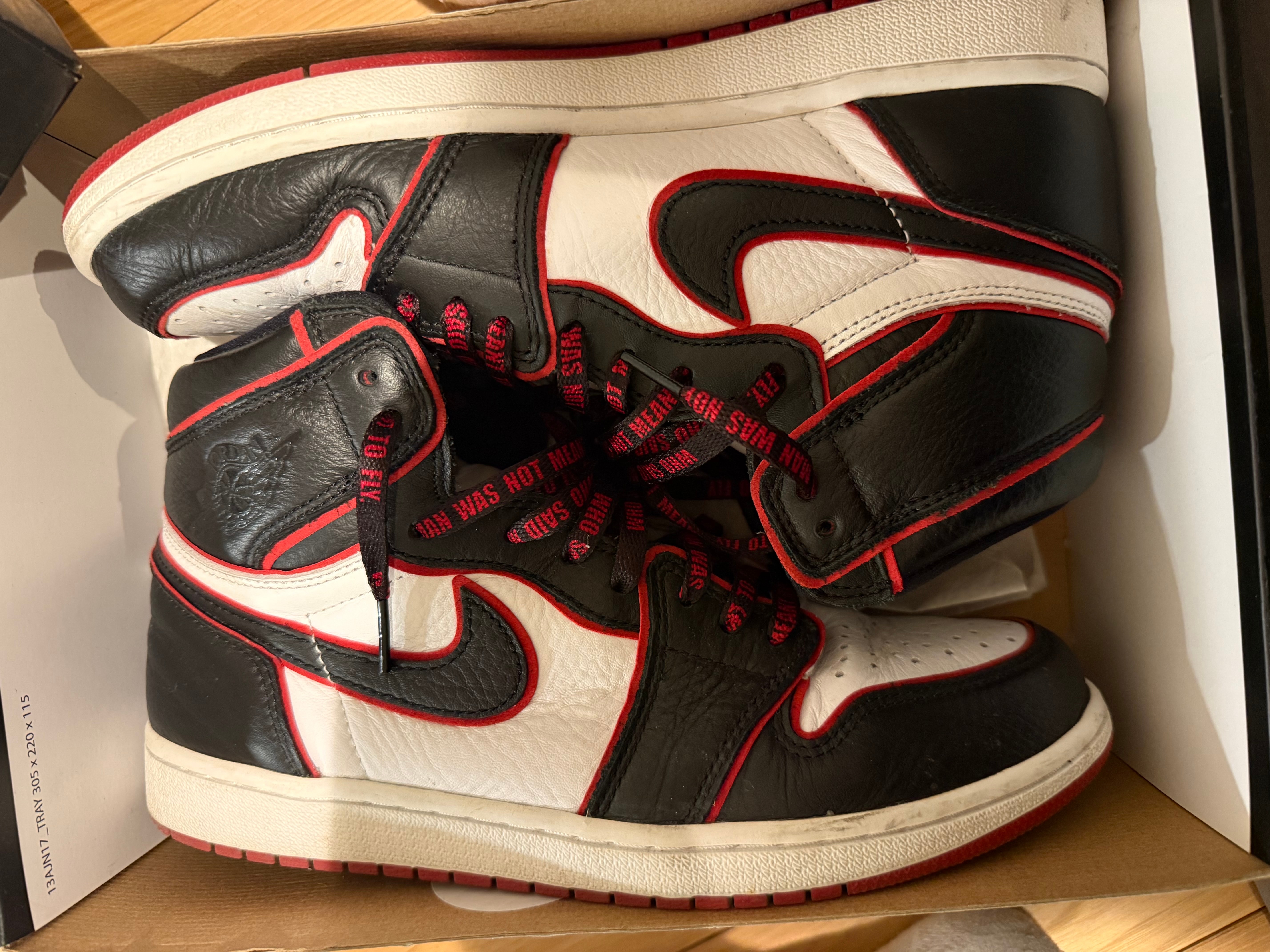 Nike Air Jordan 1 Retro High OG "Blood Line"