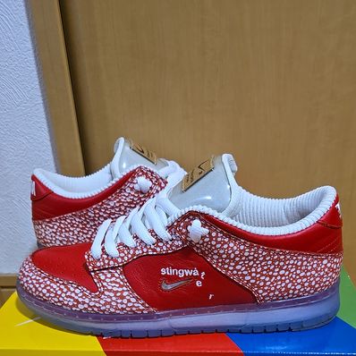 Stingwater × Nike SB Dunk Low "Magic Mushroom"